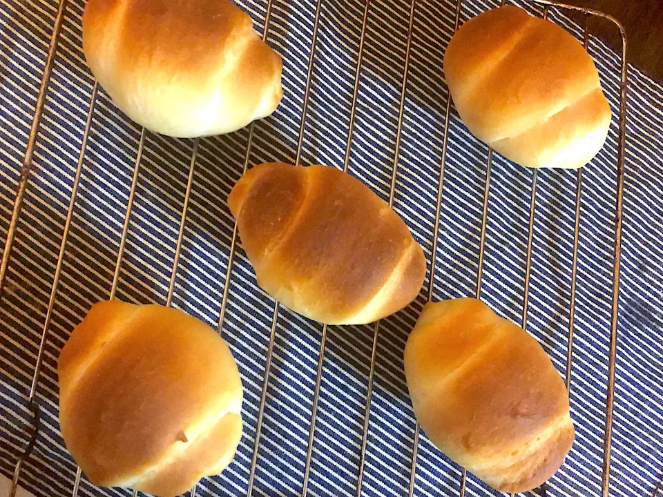 バターロール🍞🥐🥖|ゴンさん