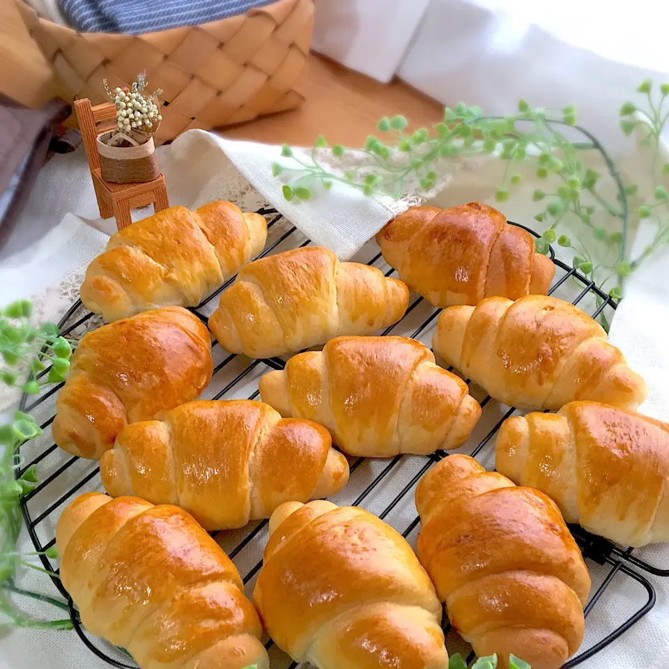 バターロール🥐🥐♬.*ﾟ|mou mouさん