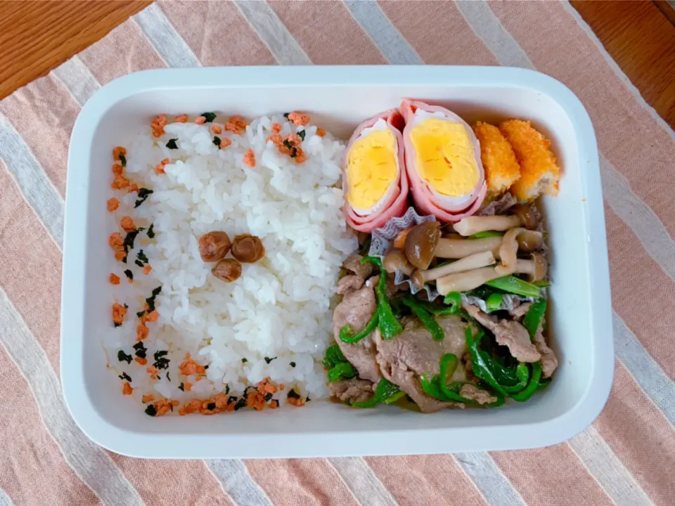 Snapdishの料理写真:お弁当.n_n.1115|nacchan♪さん