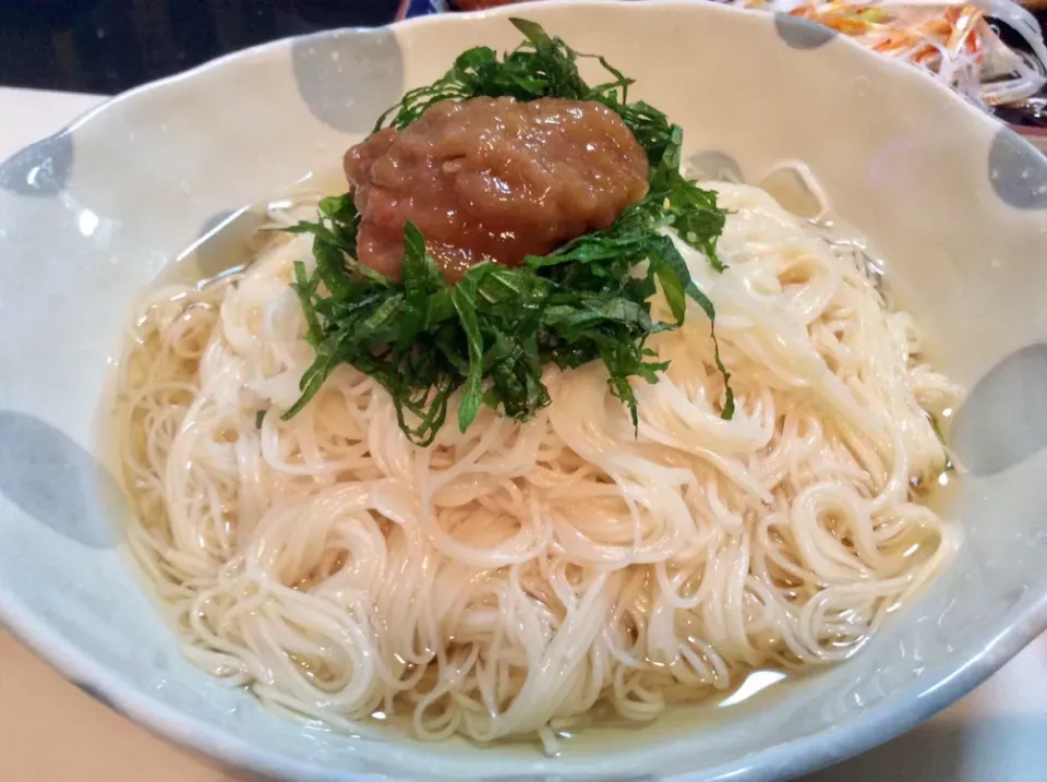 黒帯特級の揖保乃糸 シソと梅干しで|Takeshi  Nagakiさん
