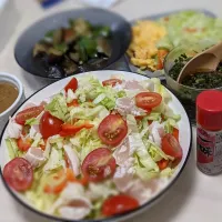 Snapdishの料理写真:夕飯のおかず
サラダラーメン|susumi1123さん