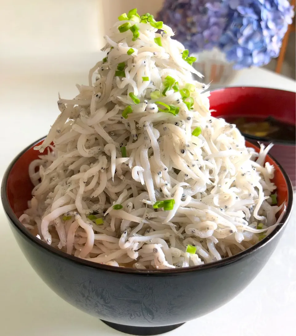 てんこ盛りしらす丼‼︎|よしこさん