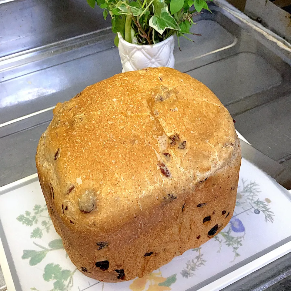 ホームベーカリーでぶどう🍇パン🍞|みんみんさん