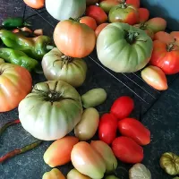 Snapdishの料理写真:Tomato Harvest|Malik715さん