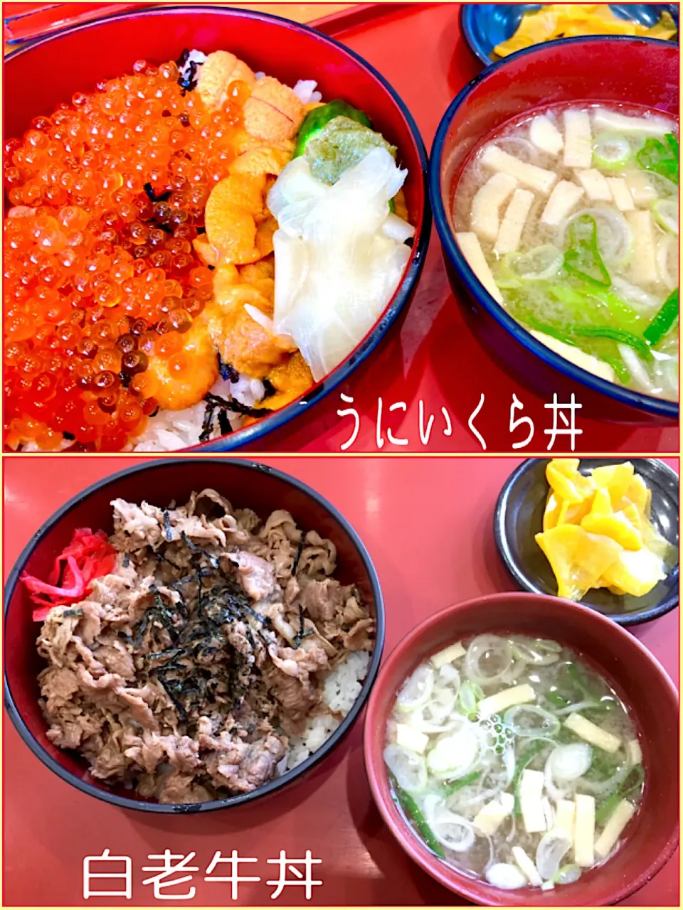 北海道白老町
スーパーくまがい
イートインコーナー
「元気ひろば」
＊ウニイクラ丼
＊白老牛丼|🌻ako ·͜·♡peco🌻さん