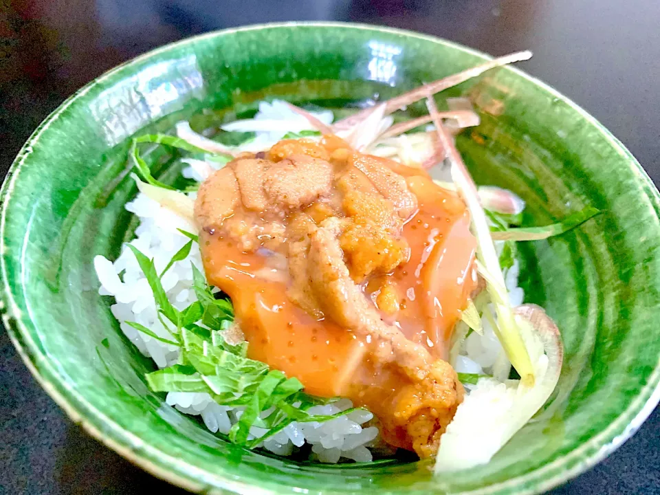 今夜の丼1 雲丹烏賊丼|iseさん