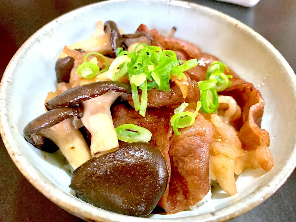 今夜の丼2 飛騨牛丼|iseさん