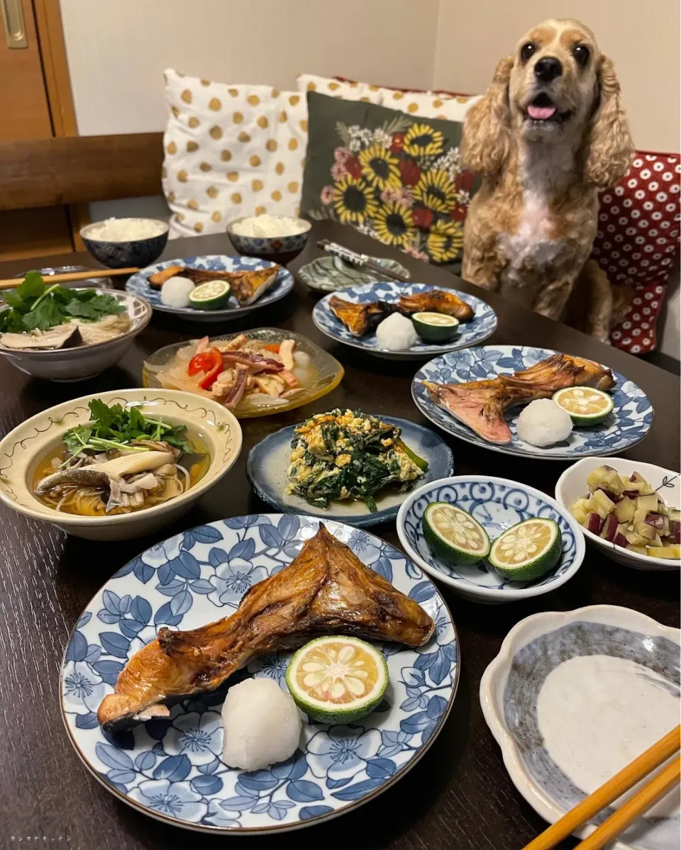 ブリカマの塩焼きと土瓶蒸し風汁|Kashimanakitchenさん