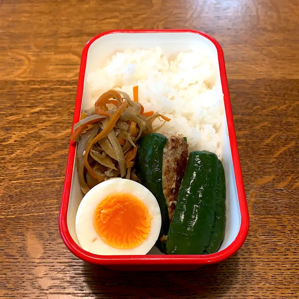 Snapdishの料理写真:中学生弁当|tenoaさん