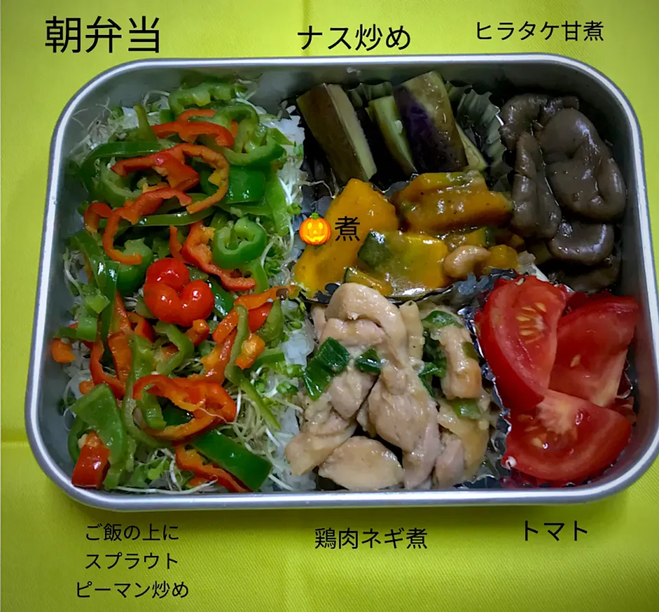 朝弁当|ゆうこりんさん