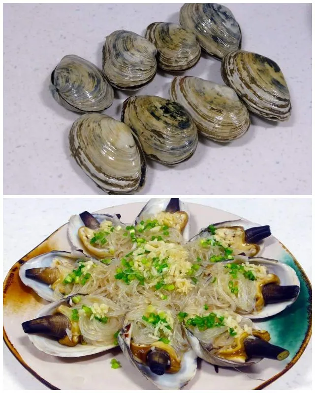 steamed soft shell clams|steven z.y.さん