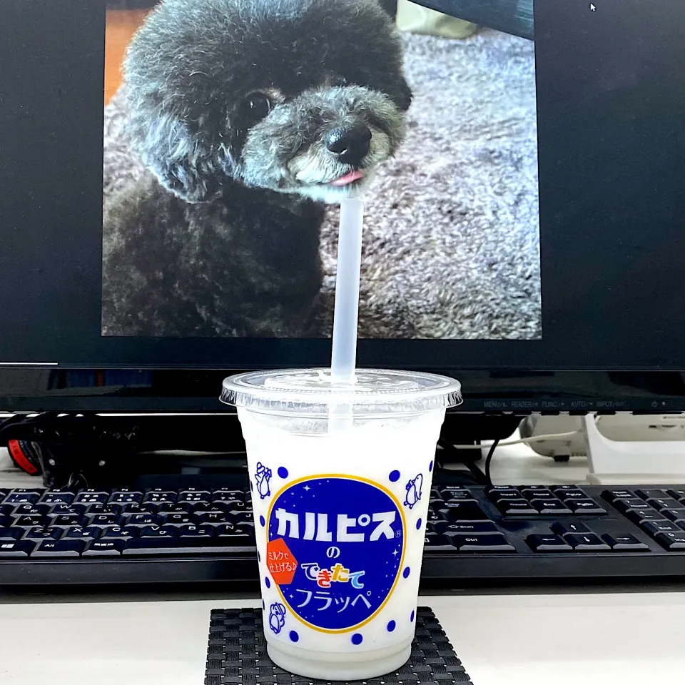 今日の飲み物🥤　カルピスのできたてフラッペ♪|yokoさん