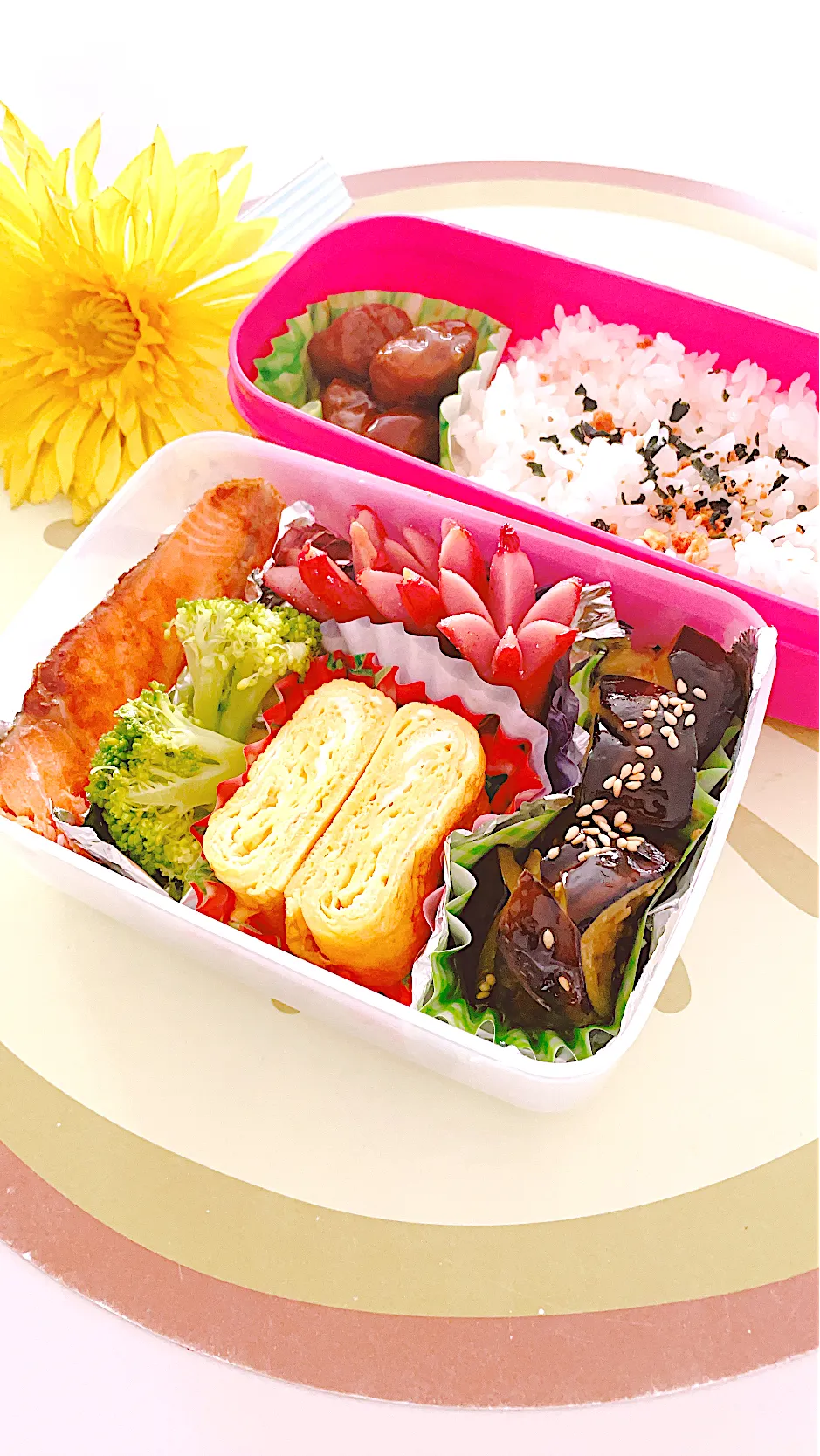 ✧︎今日のお弁当・紅シャケ弁当|🌼はなちゃん🌼さん