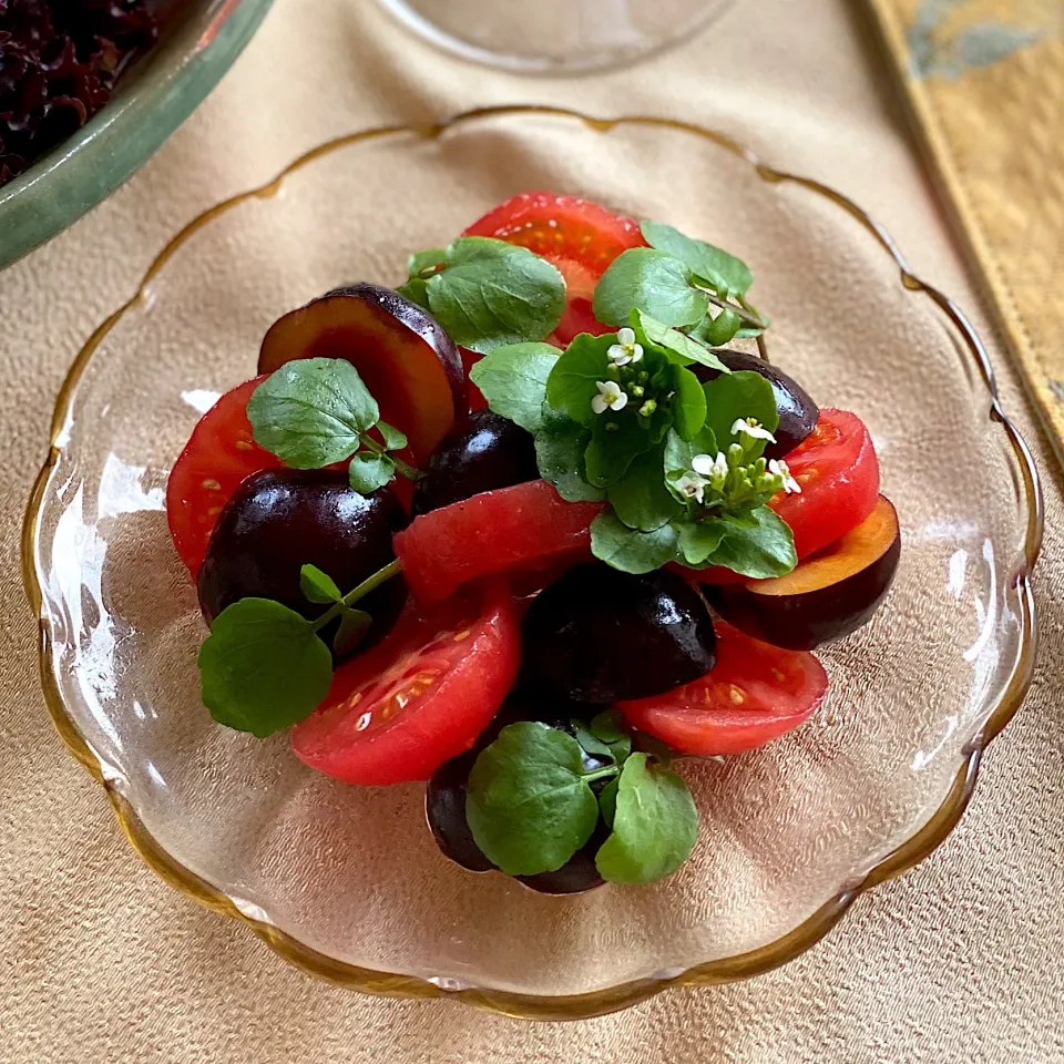 🙆‍♀️29🥩オニクの日 ②. 🌿🍒🌿バイオチェリーとトマトのハニーマリネサラダ|ゆきぽん@ゆきの家飲み料理さん