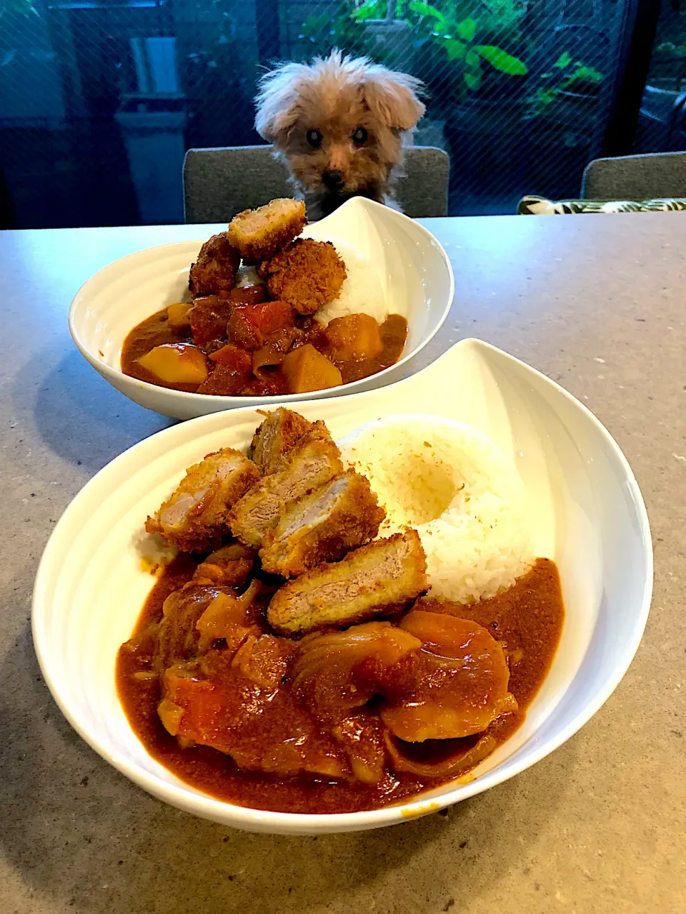 Snapdishの料理写真:ヒレカツカレー🍛！|Mayumiさん