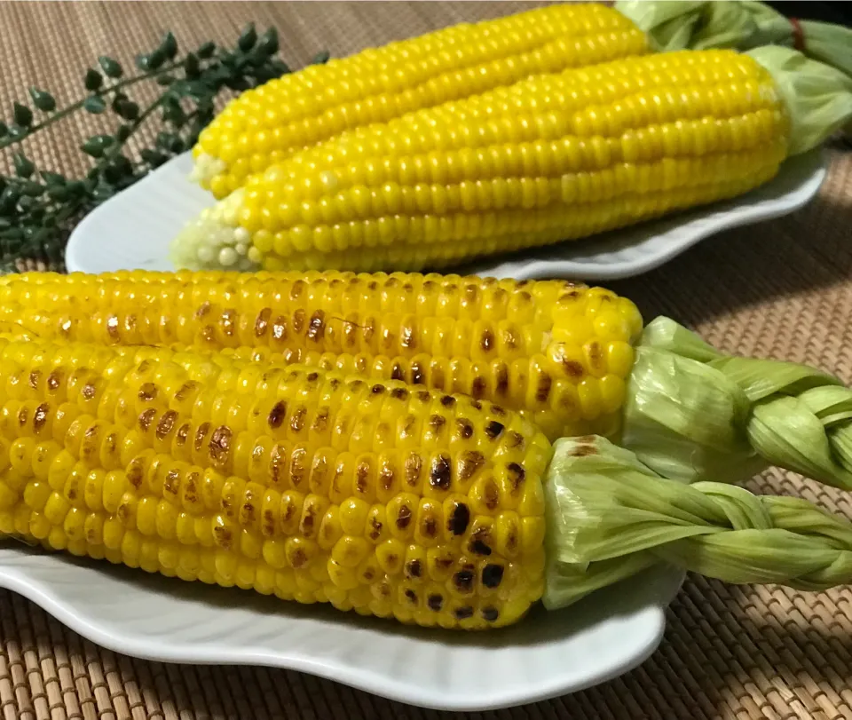 この季節がやってきましたあーとうもろこし🌽|noeさん