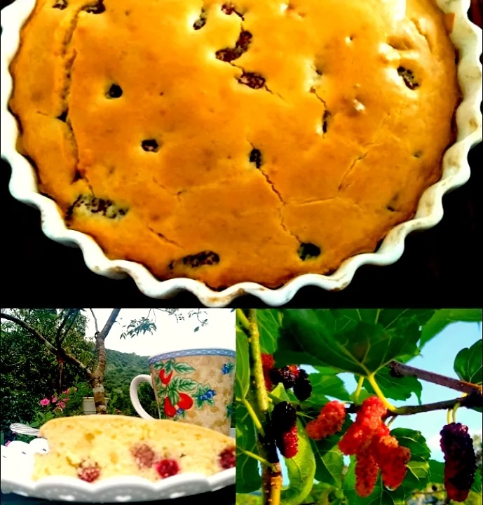 Mulberry cake for tea time|Harlina  (Malaysia)さん