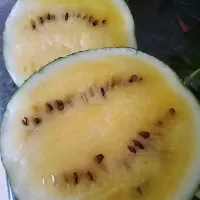 Snapdishの料理写真:Yellow Watermelon 🍉|Malik715さん