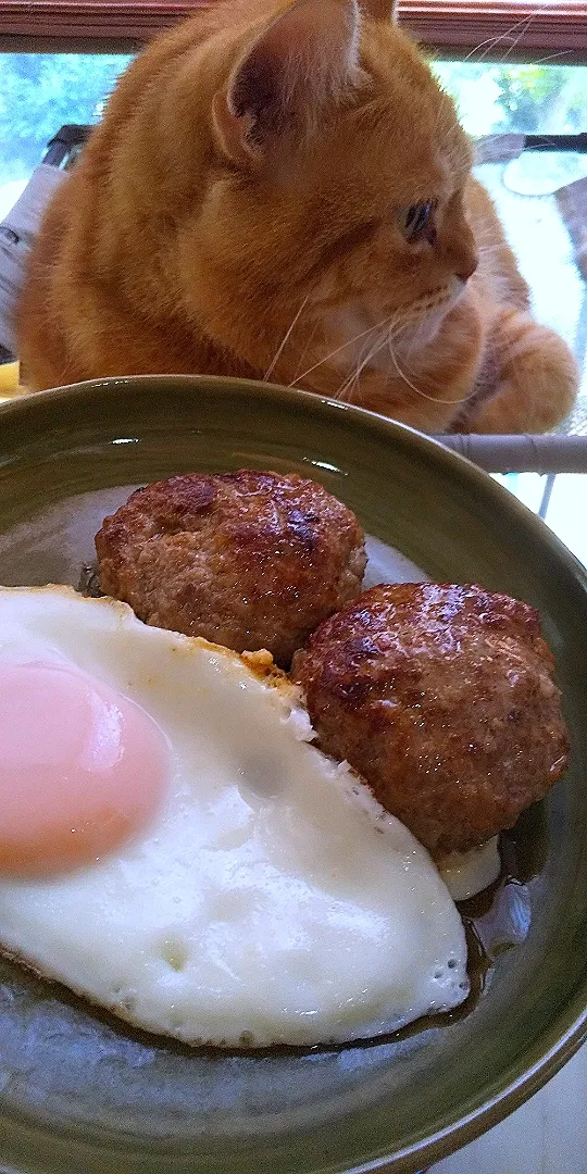 犬丸屋さんのジューシーハンバーグ🍳|さくらんぼさん