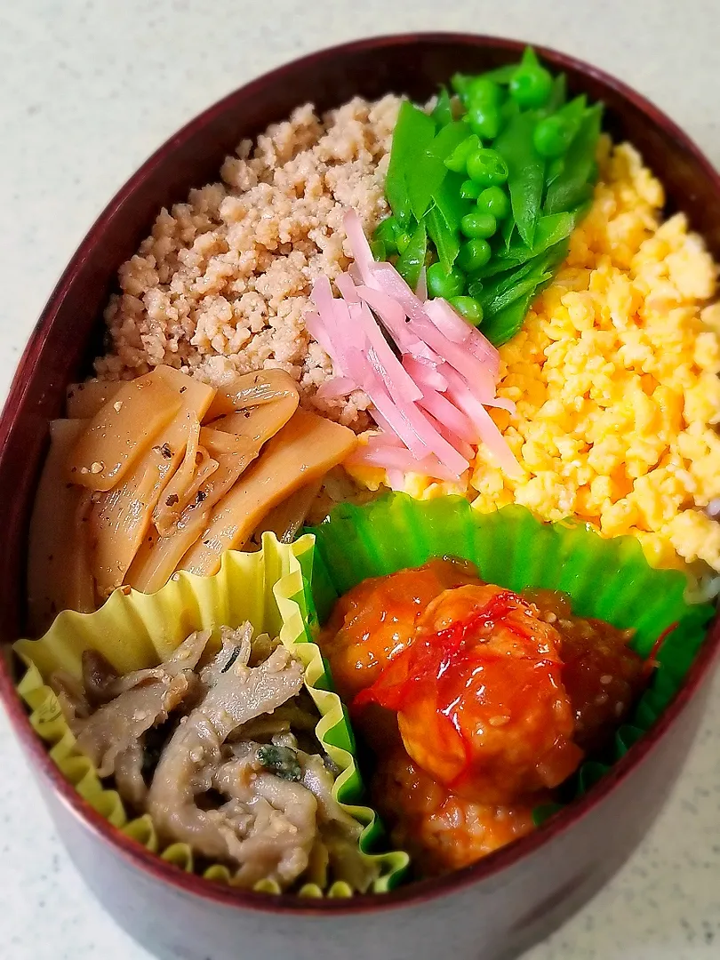 鶏そぼろ弁当🍱|ぱんだのままんさん