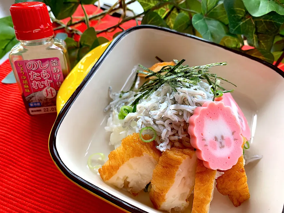 日曜のお家ランチ🐟しらす丼|ビーグルさん