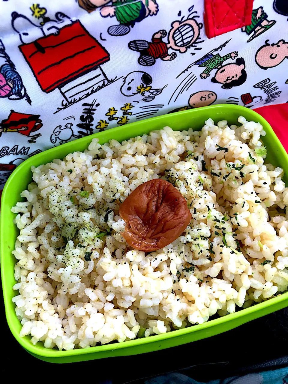 #昼飯　ロウカット玄米ご飯梅おかか海苔段々何かの葉弁当|ms903さん