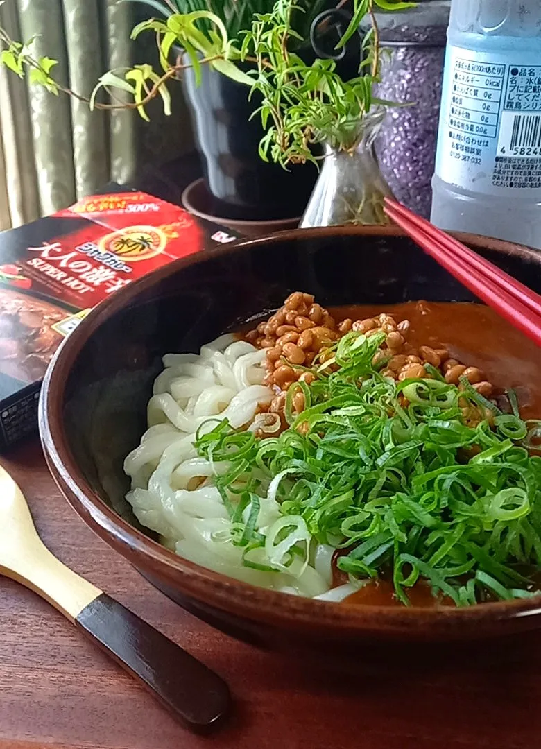 ぶっかけ納豆ｶﾚｰうどん|まりおさん