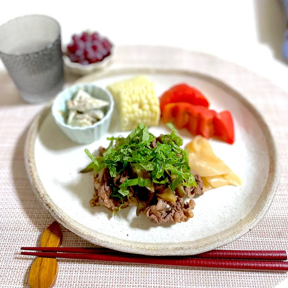 Snapdishの料理写真:7/19晩ご飯：牛肉と茄子のオイスターソース炒め|ななみんさん