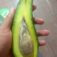 Avocado|Siriwattana Srithongsukさん