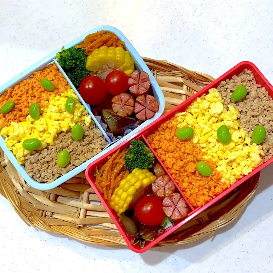 Snapdishの料理写真:3色そぼろ丼の学童弁当|リングさん