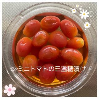 ミニトマト 大量消費のレシピと料理アイディア46件 Snapdish スナップディッシュ