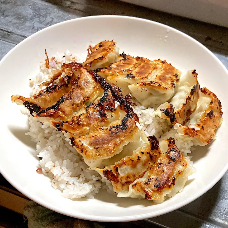 今夜は、黒豚生餃子ライスを頂きました😋🎵🥟|ギムレットさん