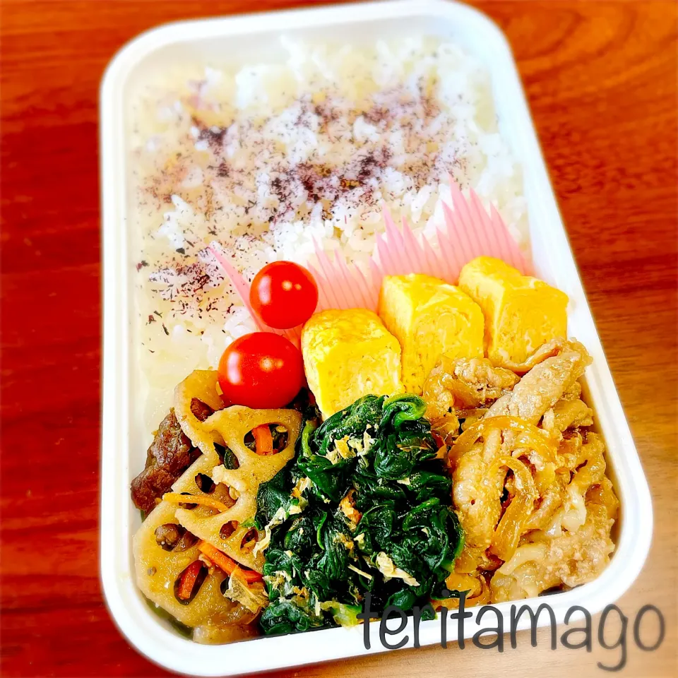 お弁当|teritamagoさん