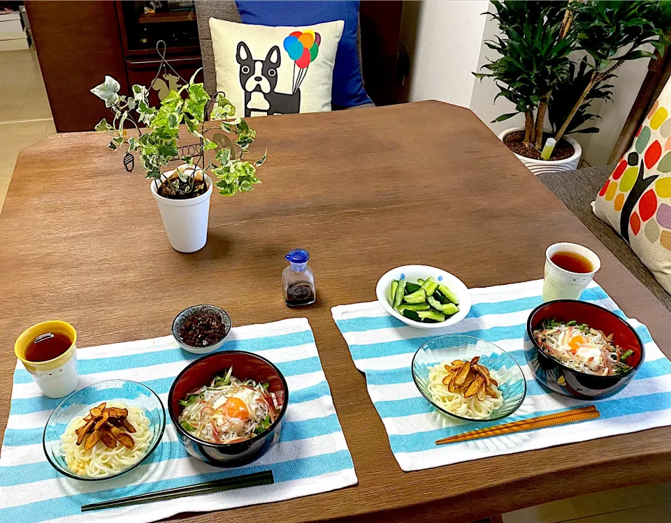 しらす丼、新牛蒡の天ぷらのせ冷やしうどん、やみつき胡瓜、雷こんにゃく、ほうじ茶|pentarouさん