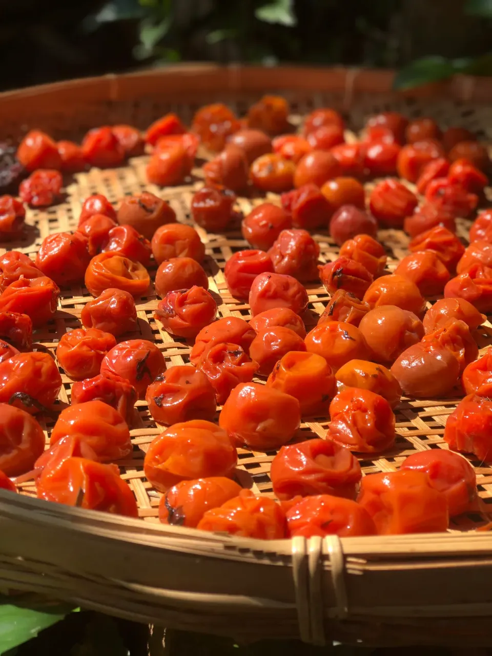 庭の完熟梅を梅干しに|ちーちさん