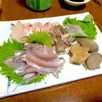 Snapdishの料理写真:釣った魚の刺身盛り合わせ|もりげさん