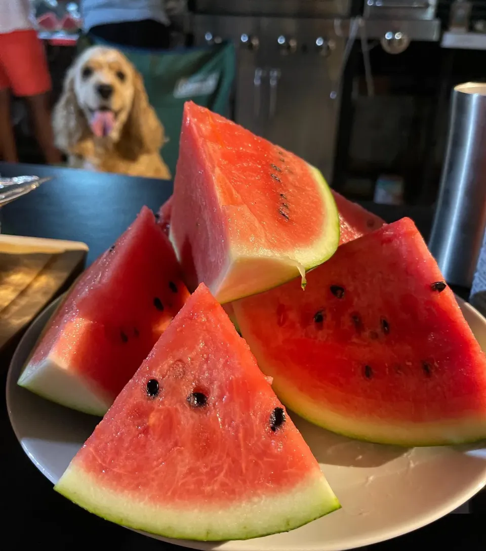 Snapdishの料理写真:今年初のスイカ🍉😋|Kashimanakitchenさん