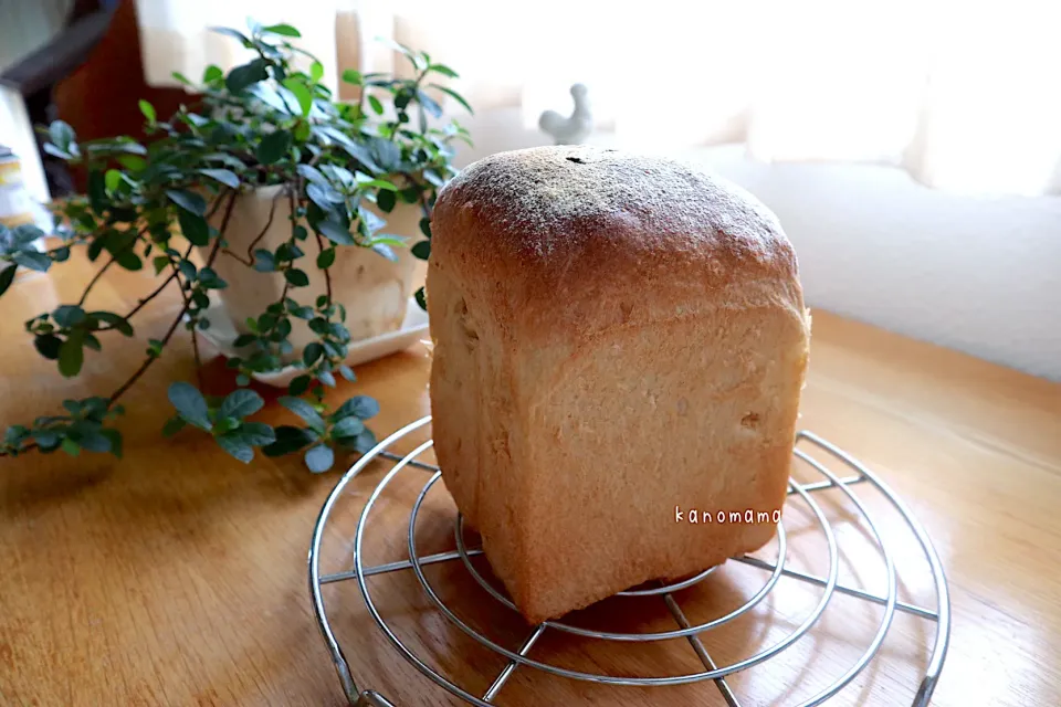 山食パン🍞|ゆきさん