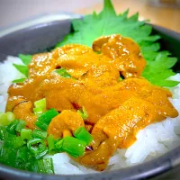 Snapdishの料理写真:雲丹丼