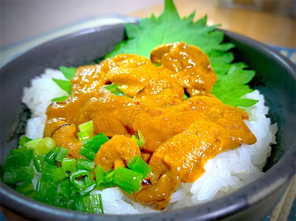 雲丹丼|やまひろさん