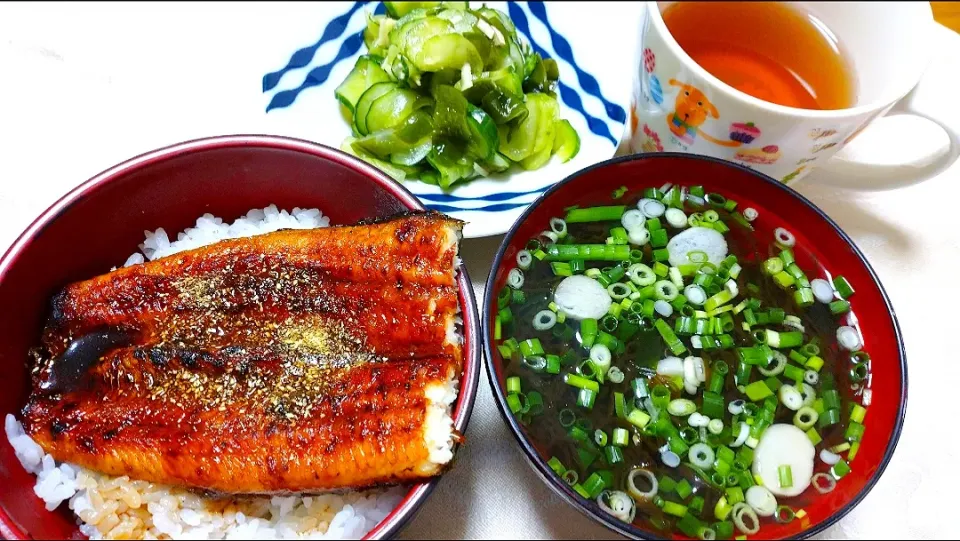 7/28の夕食
土用丑の日なので🍚鰻丼|卯月さん