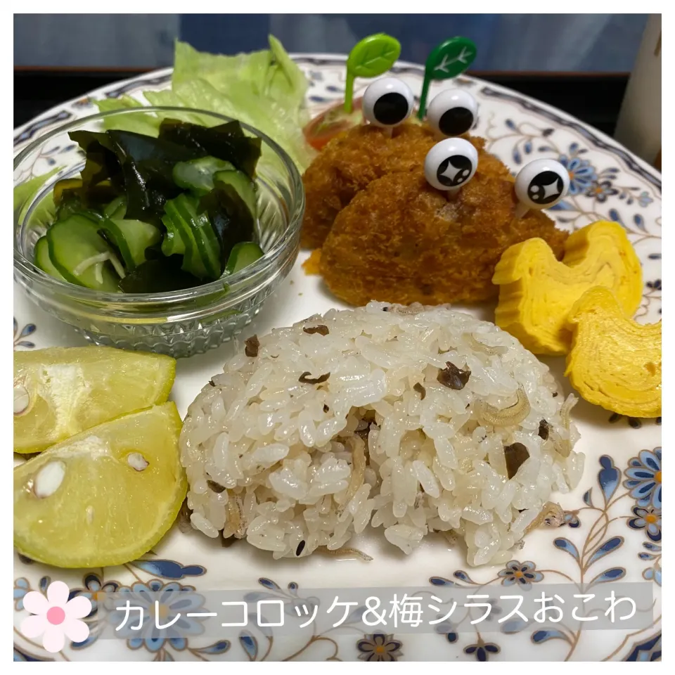 カレーコロッケ&梅シラスおこわ|いのっちさん