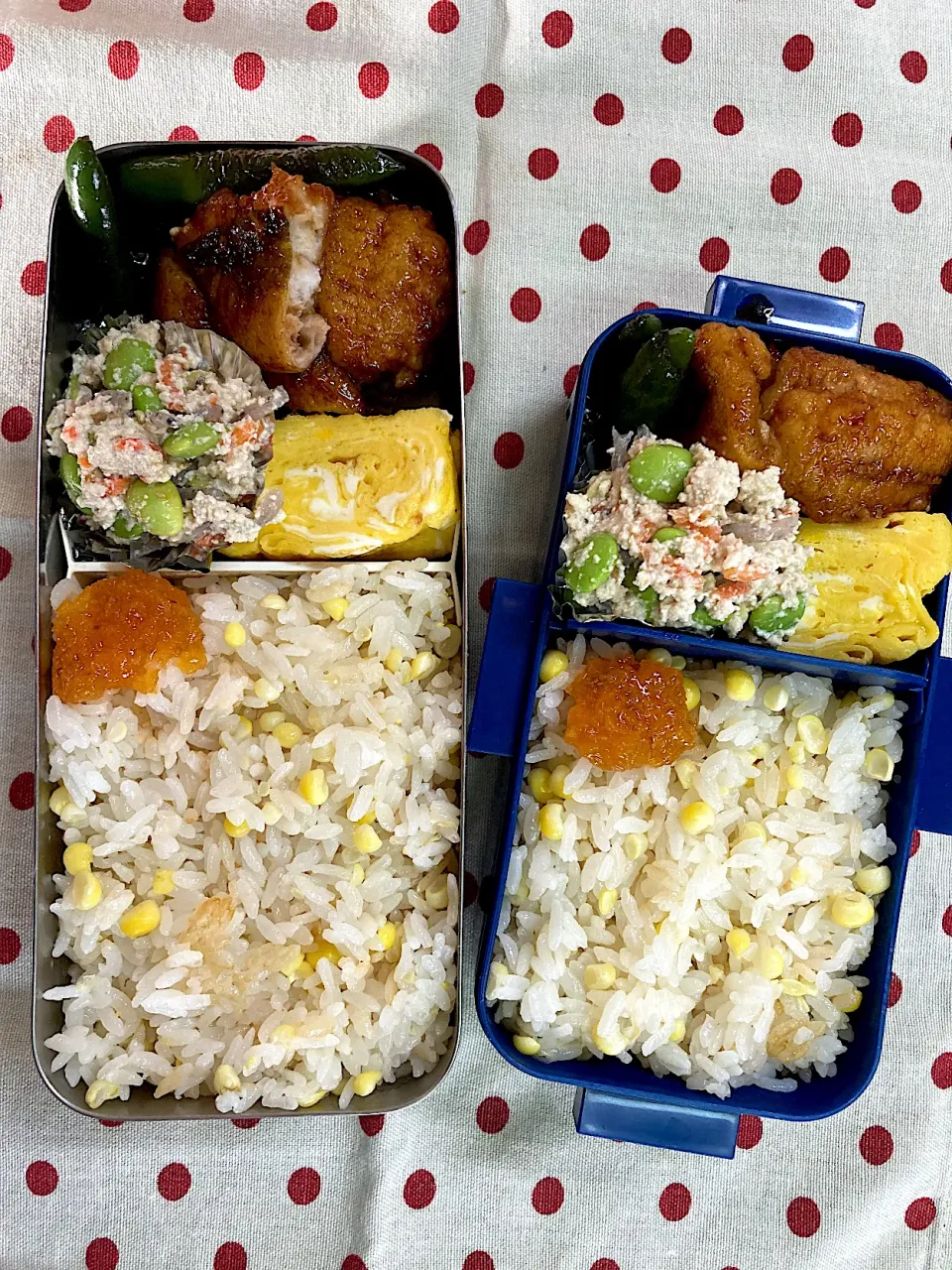 Snapdishの料理写真:7月30日　週末&月末弁当🍱|sakuramochiさん