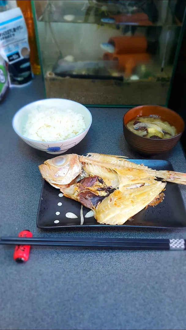 お魚ランチ😋|masaki .fさん