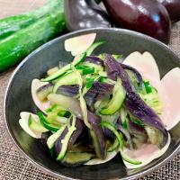 ナスときゅうりの煮浸し🍆🥒
