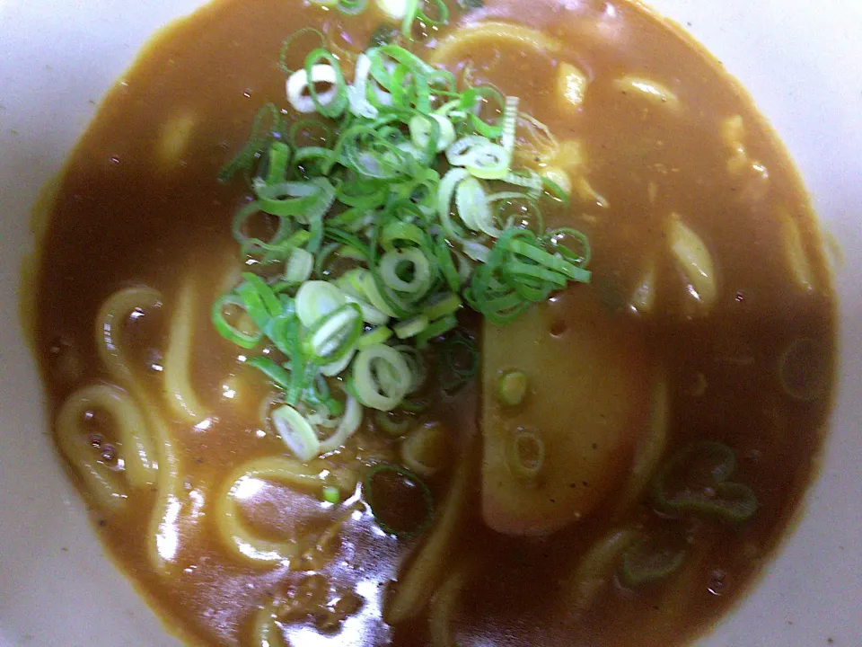 自家製 カレーうどん|ばーさんさん