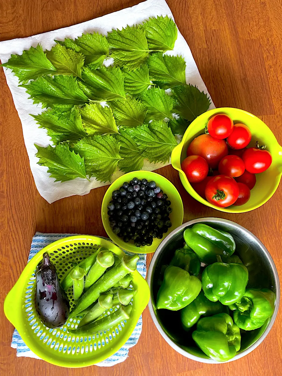 採れたて新鮮野菜🍅|かなさん