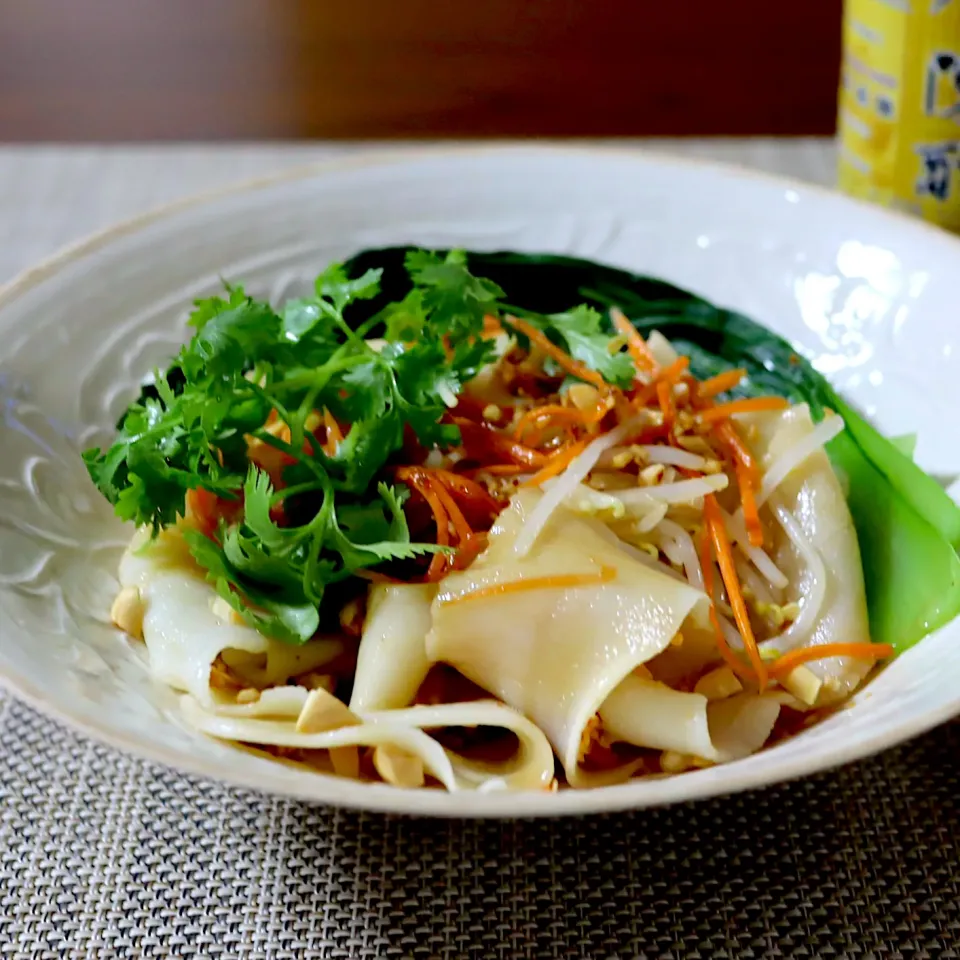 Snapdishの料理写真:ヨーポービャンビャン麺のベルト麺|かおるさん