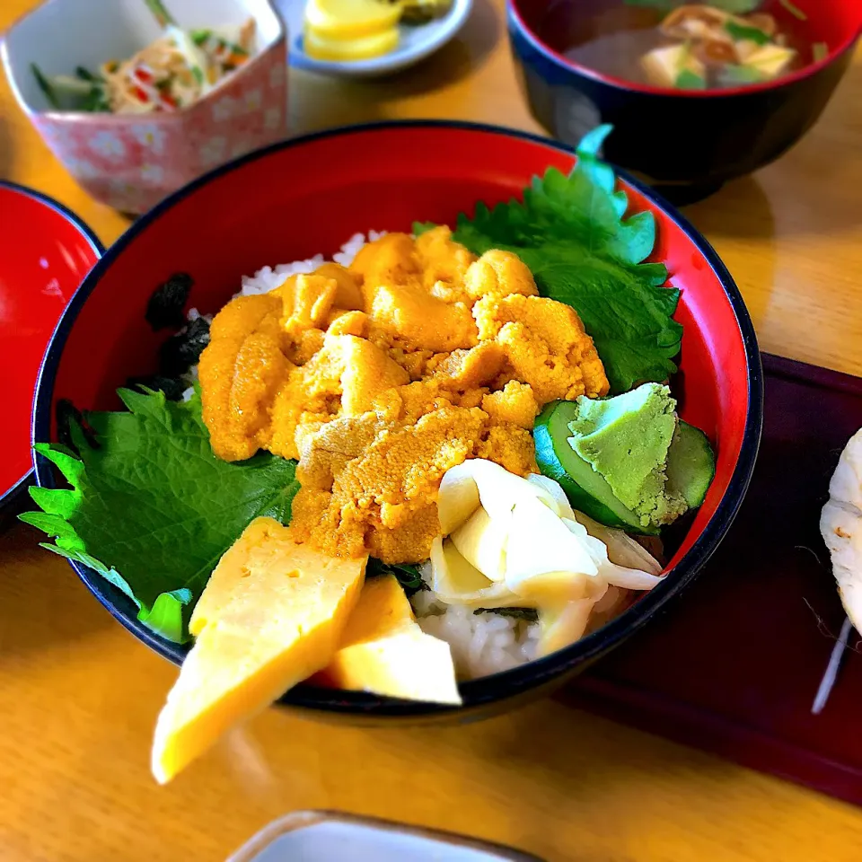 うに丼|ジュンチさん