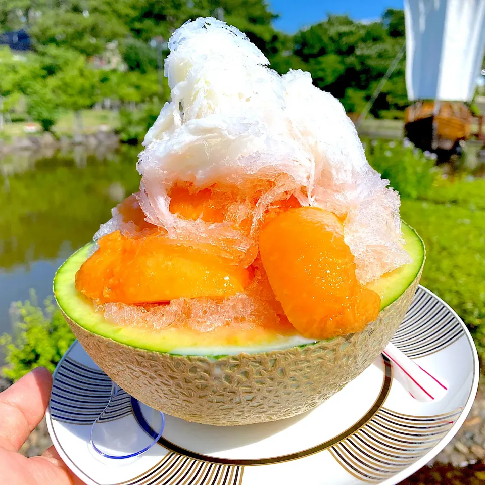 生メロンかき氷（🍈•᎑•🍈）@日和山公園ひょっこり島売店 #山形県酒田市#日和山公園#夫婦ツーリング|ももさん